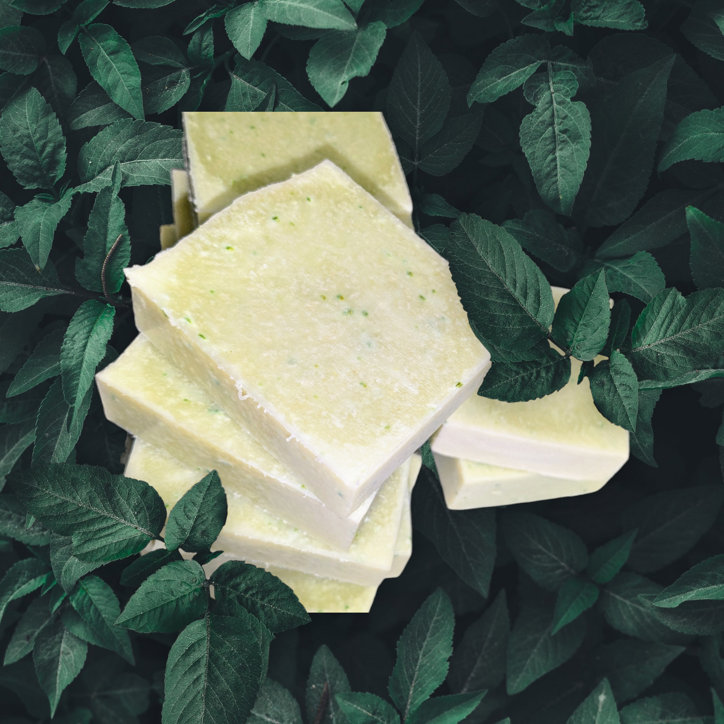 Simply Cucumber Soap